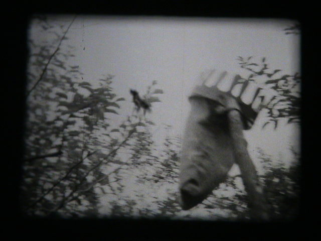 Film Still: Janusz Jaworski